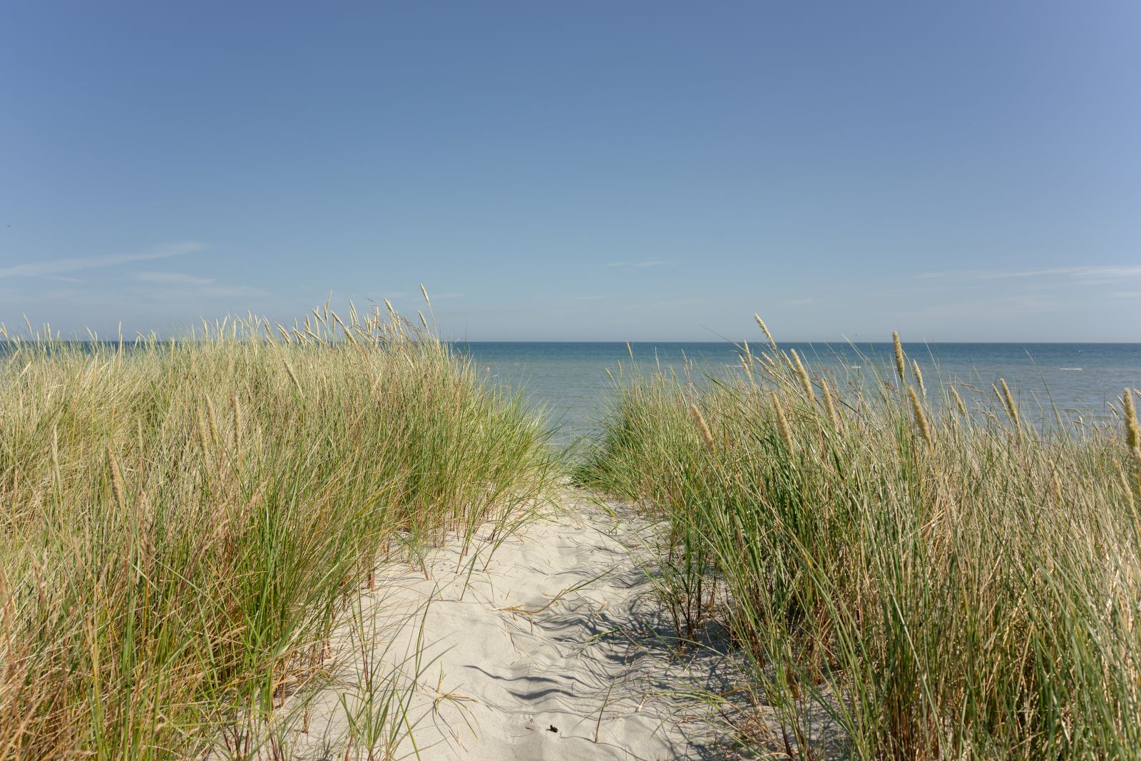 bannerslundstien-fra-plantage-til-kyst-enjoy-nordjylland